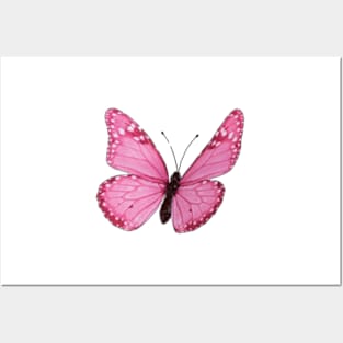 pink butterfly Posters and Art